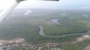 IMG-20160907-WA0000 (1)