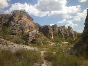 WhatsApp Image 2016-10-05 at 19.01.51