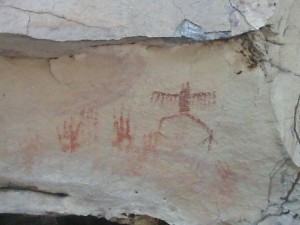 WhatsApp Image 2016-10-05 at 19.03.58