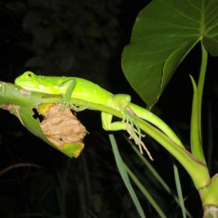 vila parnaiba deltasafari 03